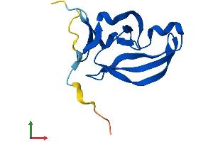 Protein Structure (PS) image for Yippee-Like 3 (YPEL3) (AA 1-119) protein (His tag) (ABIN7545236)