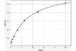 NOTCH2 ELISA Kit