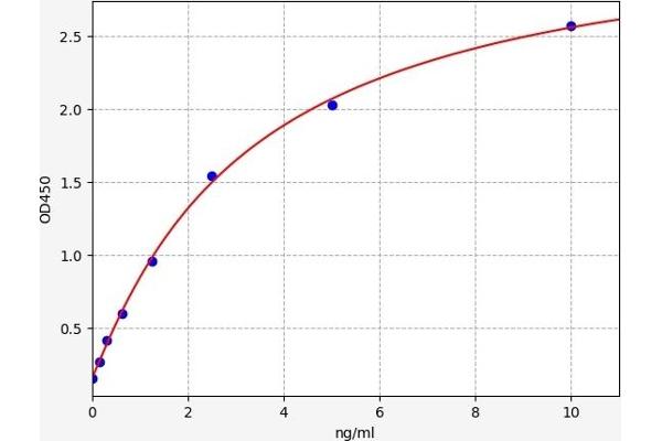 NOTCH2 ELISA Kit