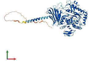 AlphaFold protein structure predicition of Human Recombinant MYORG Protein, UniprotID Q6NSJ0 (MYORG/KIAA1161 Protein (AA 1-714) (His tag))