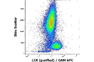 Flow cytometry intracellular staining pattern of human peripheral whole blood using anti-LCK (LCK-01) purified antibody (concentration in sample 9 μg/mL, GAM APC). (LCK antibody  (AA 22-36))
