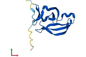 Protein Structure (PS) image for Yippee-Like 2 (YPEL2) (AA 1-119) protein (His tag) (ABIN7545512)