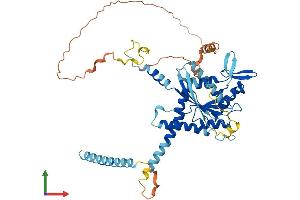 AlphaFold protein structure predicition of Mouse Recombinant Septin4 Protein, UniprotID P28661 (Septin 4 Protein (SEPT4) (AA 1-478) (His tag))