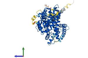 AlphaFold protein structure predicition of Human Recombinant CYP26C1 Protein, UniprotID Q6V0L0 (CYP26C1 Protein (AA 1-522) (His tag))