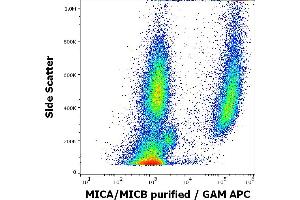 Flow cytometry surface staining pattern of human peripheral whole blood spiked with HeLa cells stained using anti-human MICA/MICB (6D4) purified antibody (concentration in sample 0. (MICA/B antibody)