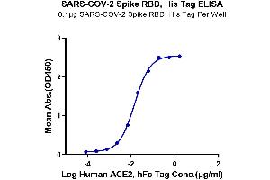 ELISA image for SARS-CoV-2 Spike (RBD) protein (His-Avi Tag) (ABIN7274399)