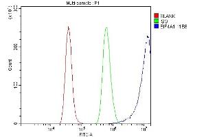 Flow Cytometry analysis of RH35 cells using anti- EIF4A1 antibody (ABIN7603143). (EIF4A1 antibody  (N-Term))