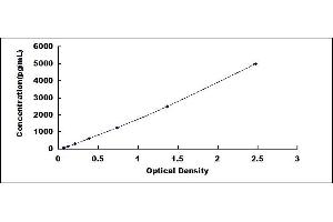 DcR1 ELISA Kit