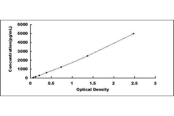 DcR1 ELISA Kit