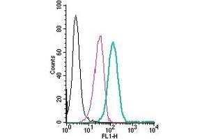 Cell surface detection of PAFR by direct flow cytometry in live intact human  monocytic leukemia cells: + Rabbit IgG isotype control-FITC.