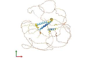 AlphaFold protein structure predicition of Mouse Recombinant Trdn Protein, UniprotID E9Q9K5