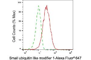Flow cytometric analysis of Small ubiquitin like modifier 1 expression in HAP-1 cells using Small ubiquitin like modifier 1 antibody (ABIN7800382), 1:2,000).