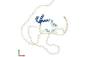 Protein Structure (PS) image for Engrailed Homeobox 2 (EN2) (AA 1-324) protein (His tag) (ABIN7562771)