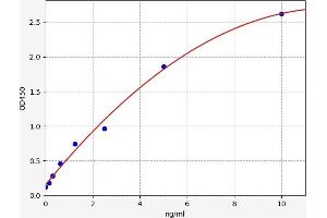 Secreted Frizzled-Related Protein 4 (SFRP4) ELISA Kit