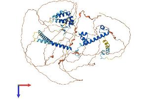 AlphaFold protein structure predicition of Human Recombinant TAF4B Protein, UniprotID Q92750 (TAF4B Protein (AA 1-862) (His tag))