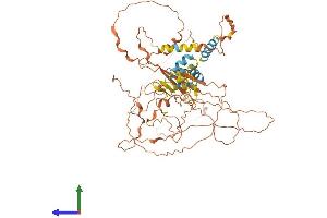 Protein Structure (PS) image for F-Box Protein 46 (FBXO46) (AA 1-603) protein (His tag) (ABIN7558534)