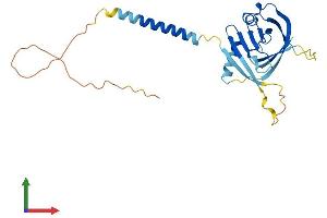 Protein Structure (PS) image for Integral Membrane Protein 2B (ITM2B) (AA 1-266) protein (His tag) (ABIN7548670)