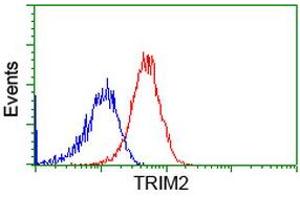 Flow cytometric Analysis of Hela cells, using anti-TRIM2 antibody (ABIN2453850), (Red), compared to a nonspecific negative control antibody, (Blue). (TRIM2 antibody  (AA 1-100, AA 645-744))