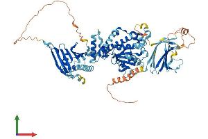 Protein Structure (PS) image for SEC14-Like 1 (SEC14L1) (AA 1-715) protein (His tag) (ABIN7555324)