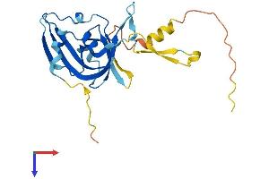 ARPIN Protein (AA 1-226) (His tag)