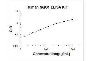 NAD(P)H Dehydrogenase, Quinone 1 (NQO1) ELISA Kit