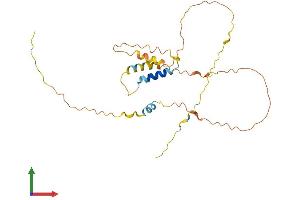 AlphaFold protein structure predicition of Human Recombinant FAM120AOS Protein, UniprotID Q5T036 (FAM120AOS Protein (AA 1-256) (His tag))