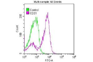 Overlay histogram showing Jurkat cells stained with ABIN7127278 (red line) at 1:50. (Recombinant CD31 antibody)