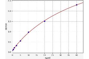 14-3-3 eta ELISA Kit