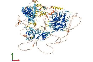AlphaFold protein structure predicition of Human Recombinant USP6 Protein, UniprotID P35125 (USP6 Protein (AA 1-1406) (His tag))