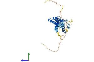 AlphaFold protein structure predicition of Human Recombinant SPATA4 Protein, UniprotID Q8NEY3 (SPATA4 Protein (AA 1-305) (His tag))
