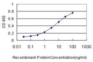 Detection limit for recombinant GST tagged RAB21 is approximately 0. (RAB21 antibody  (AA 116-225))
