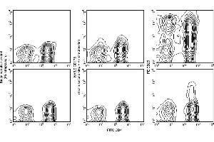 Flow Cytometry (FACS) image for anti-Fas Ligand (TNF Superfamily, Member 6) (FASL) antibody (ABIN1176980) (FASL antibody)