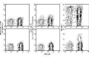 Flow Cytometry (FACS) image for anti-Fas Ligand (TNF Superfamily, Member 6) (FASL) antibody (ABIN1176980)