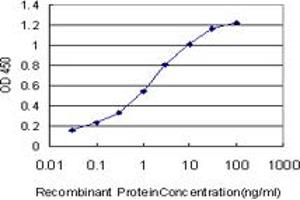 Detection limit for recombinant GST tagged PITX1 is approximately 0. (PITX1 antibody  (AA 225-313))