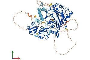 Protein Structure (PS) image for NOP2/Sun Domain Family, Member 2 (NSUN2) (AA 1-767) protein (His tag) (ABIN7554810)