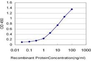 Detection limit for recombinant GST tagged GENX-3414 is approximately 0. (STBD1 antibody  (AA 1-358))