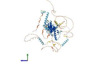 AlphaFold protein structure predicition of Mouse Recombinant Add1 Protein, UniprotID Q9QYC0