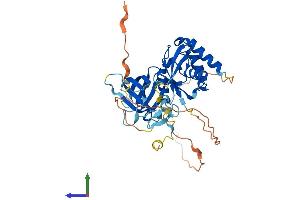 AlphaFold protein structure predicition of Mouse Recombinant Sharpin Protein, UniprotID Q91WA6 (SHARPIN Protein (AA 1-380) (His tag))