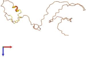 AlphaFold protein structure predicition of Human Recombinant KRTAP9-6 Protein, UniprotID A8MVA2