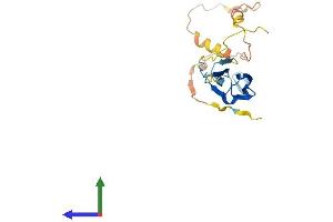 AlphaFold protein structure predicition of Human Recombinant HSPB1 Protein, UniprotID P04792 (HSP27 Protein (AA 1-205) (His tag))