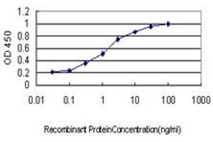 Detection limit for recombinant GST tagged DLX4 is approximately 0. (DLX4 antibody  (AA 1-98))