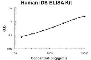 IDS ELISA Kit