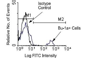 Flow Cytometry (FACS) image for anti-BU-1A / B6.1 antibody (ABIN371411) (BU-1A / B6.1 antibody)