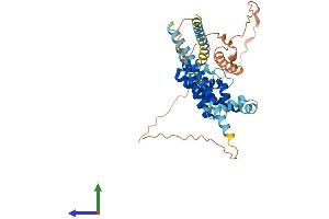AlphaFold protein structure predicition of Mouse Recombinant Tmem64 Protein, UniprotID Q3U145 (TMEM64 Protein (AA 1-381) (His tag))