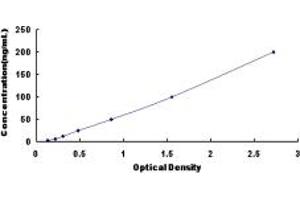 Typical standard curve (DPP6 ELISA Kit)