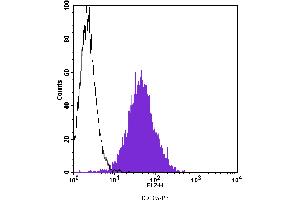 Flow Cytometry (FACS) image for anti-Endoglin (ENG) antibody (PE) (ABIN2144992) (Endoglin antibody  (PE))