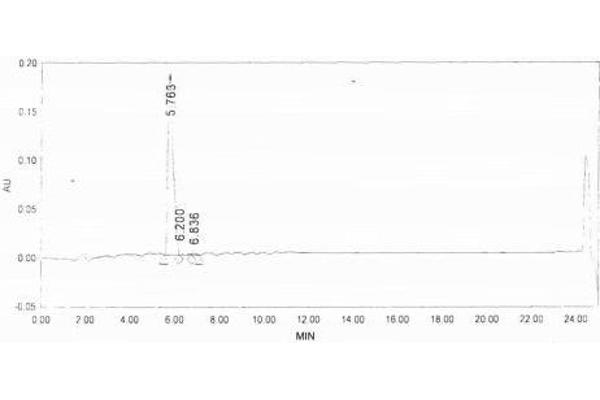 PROL1 Protein (BSA)