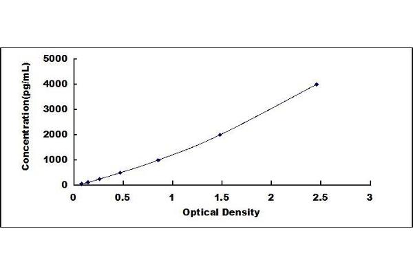 CXCL11 ELISA Kit