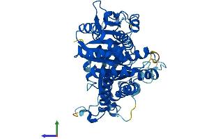 Protein Structure (PS) image for Tubulin, gamma 1 (TUBG1) (AA 1-451) protein (His tag) (ABIN7544196)