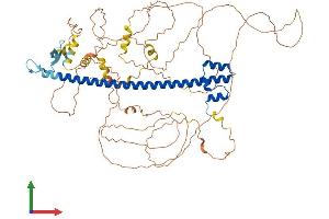 Protein Structure (PS) image for Nuclear Factor (erythroid-Derived 2)-Like 3 (NFE2L3) (AA 1-694) protein (His tag) (ABIN7549786)